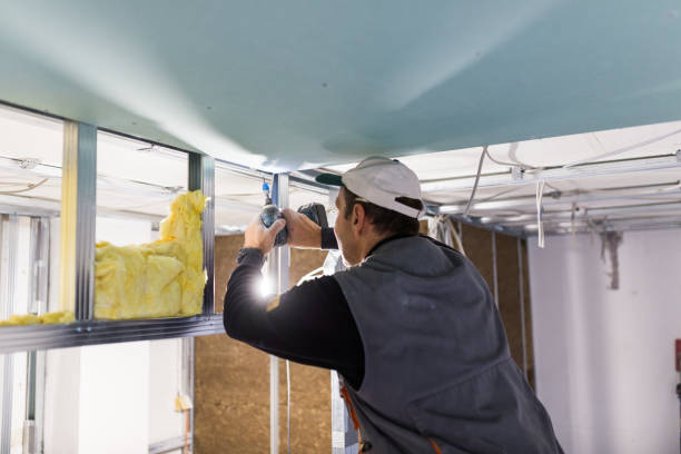 Best Insulation Maintenance and Repair in Panther Valley, NJ