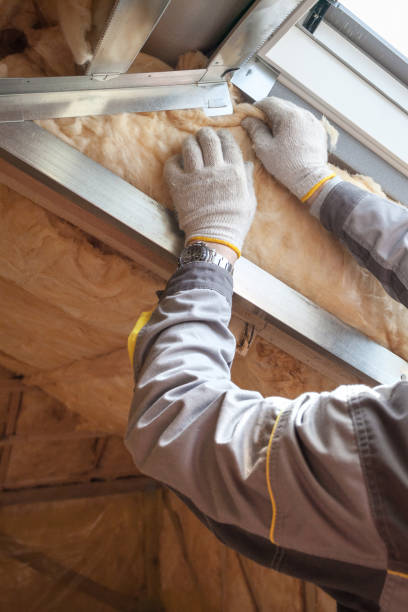 Best Cellulose Insulation in Panther Valley, NJ